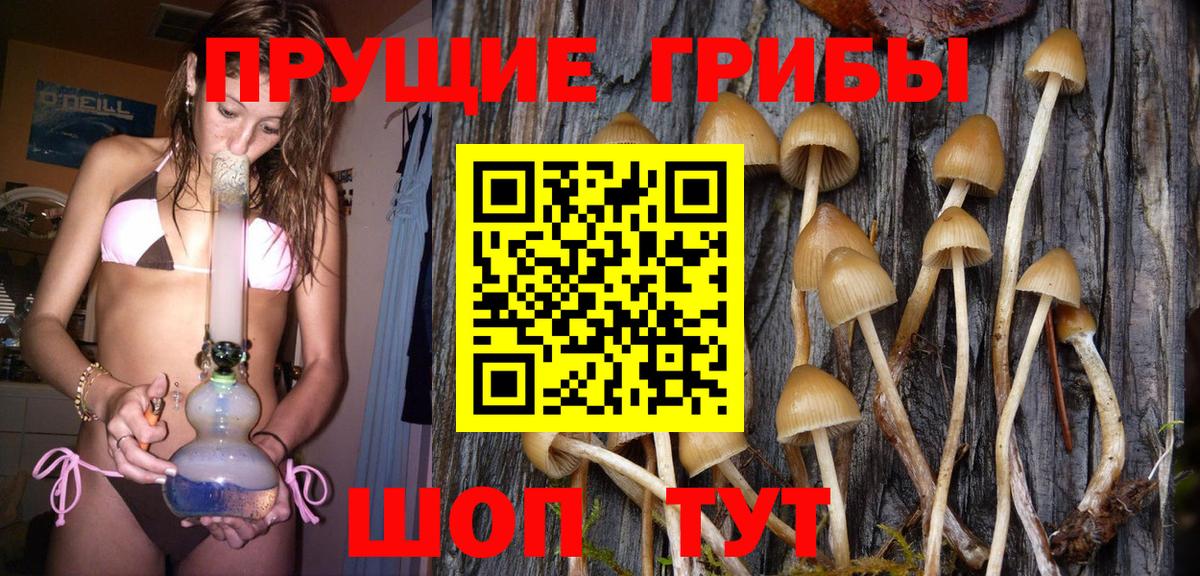 Лесозаводск  Псилоцибиновые грибы Psilocybine cubensis  Вход с VPN 
